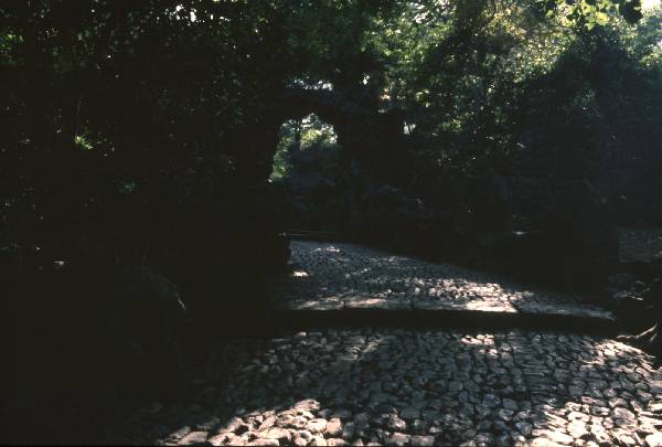 hz005HangDa cave path on hill above HangDa.jpg 29.0K