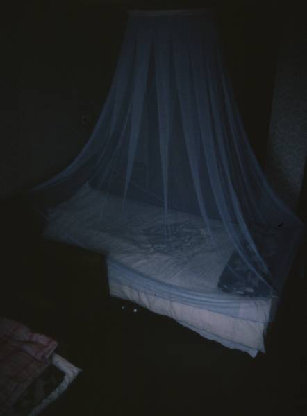 hz005HangDa netting over dorm bed.jpg 10.3K