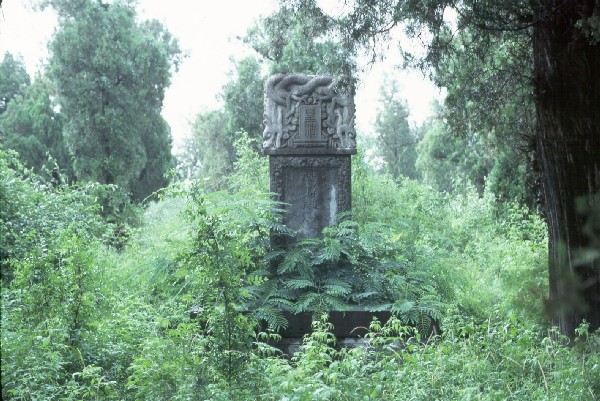 Confucius temple, Kung family graveyard, stele.jpg 102.3K