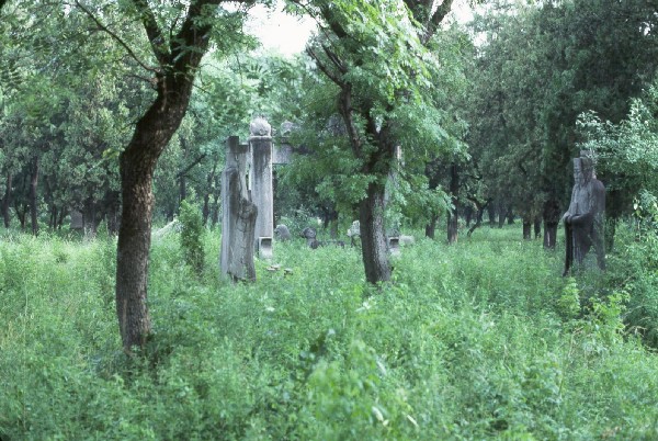 Confucius temple, Kung family graveyard 6.jpg 102.9K